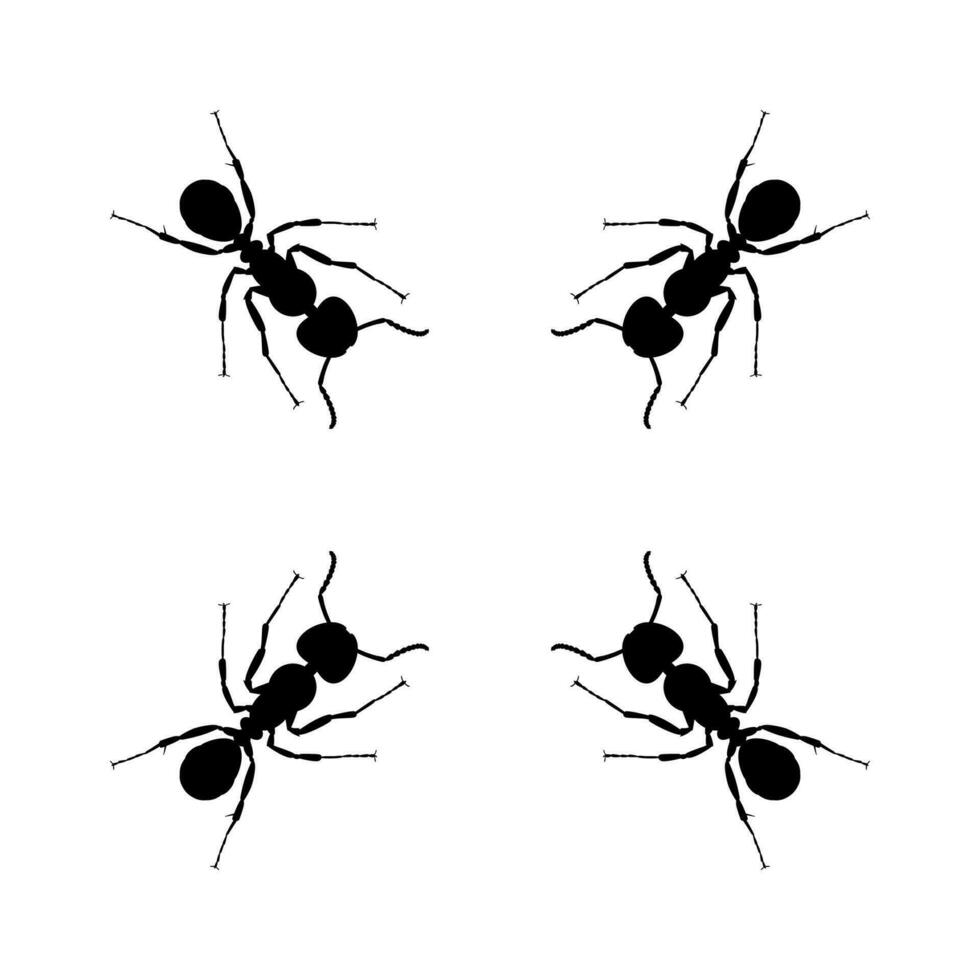 Colony of the Ant Silhouette for Art Illustration, Logo, Pictogram, Website, or Graphic Design Element. Vector Illustration