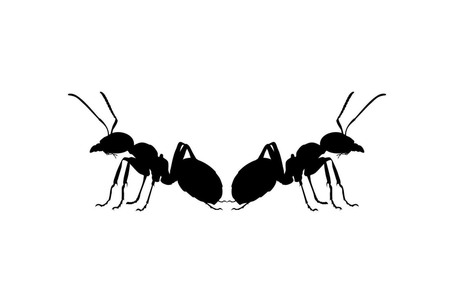 Pair of the Ant Silhouette for Art Illustration, Logo, Pictogram, Website, or Graphic Design Element. Vector Illustration