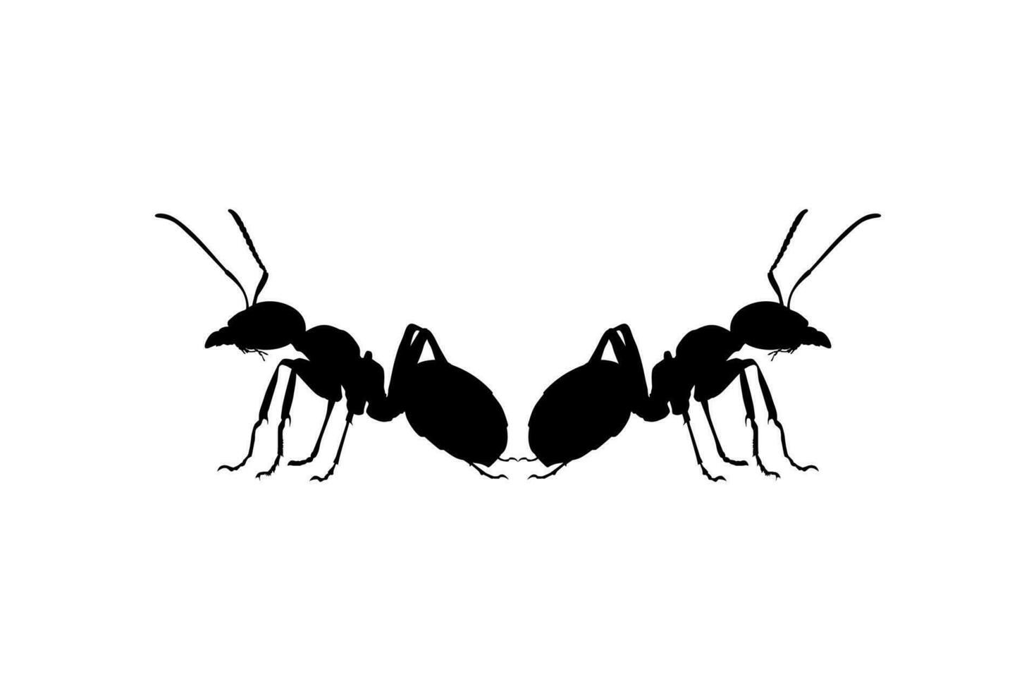 Pair of the Ant Silhouette for Art Illustration, Logo, Pictogram, Website, or Graphic Design Element. Vector Illustration