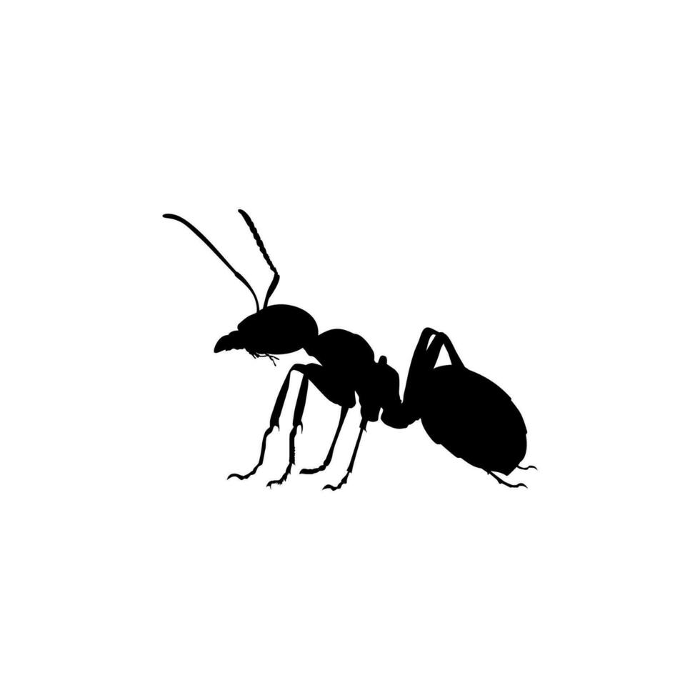 Ant Silhouette for Art Illustration, Logo, Pictogram, Website, or Graphic Design Element. Vector Illustration