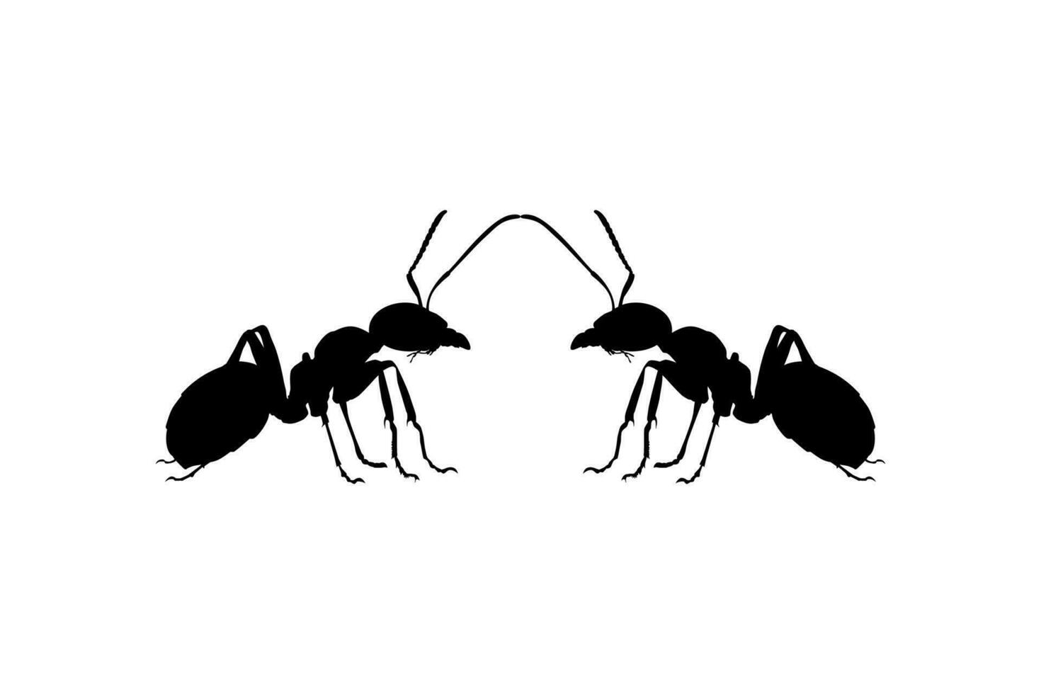 Pair of the Ant Silhouette for Art Illustration, Logo, Pictogram, Website, or Graphic Design Element. Vector Illustration
