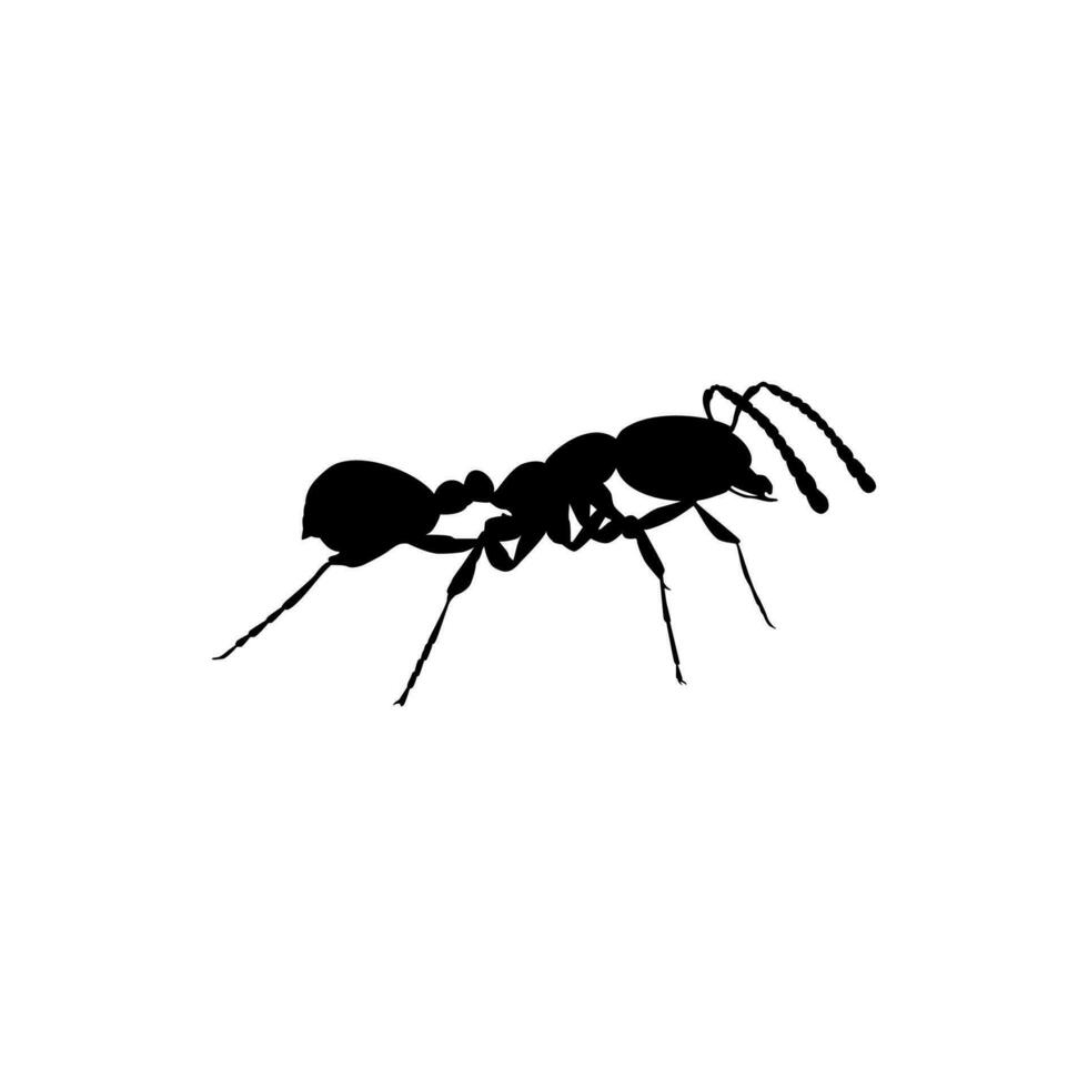 Ant Silhouette for Art Illustration, Logo, Pictogram, Website, or Graphic Design Element. Vector Illustration