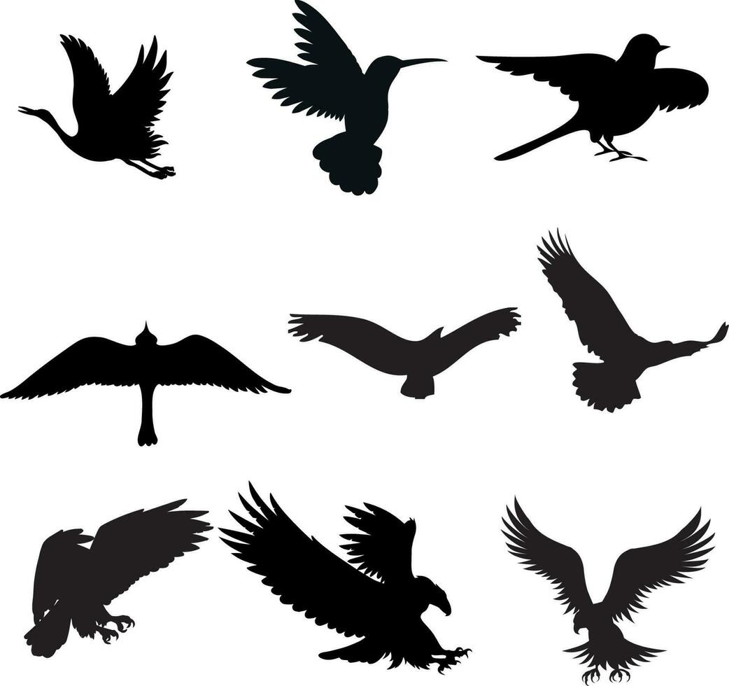 conjunto de diferentes aves silueta vector ilustración