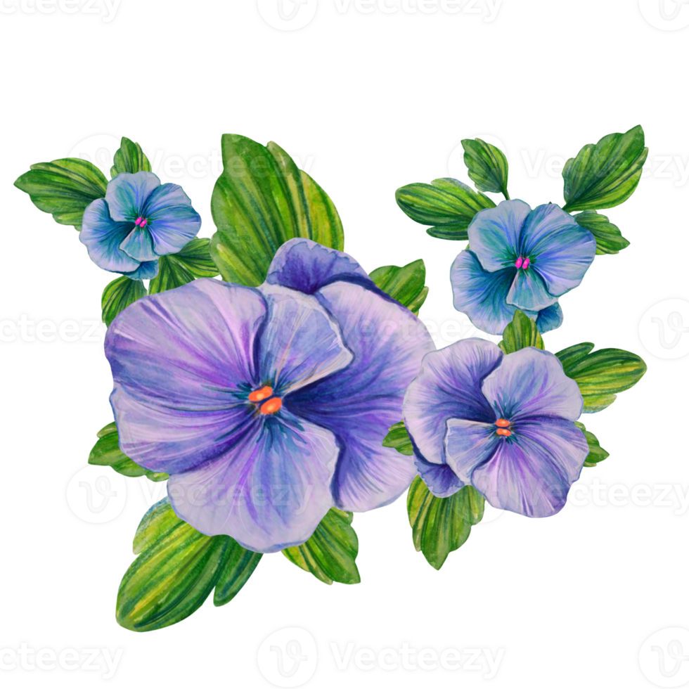 sammansättning av fikus blommor vattenfärg illustration png