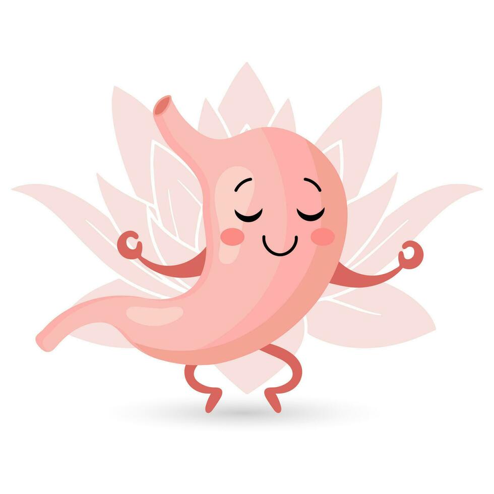 Cute healthy human stomach character in yoga pose. Medicine concept. Anatomy of the digestive system. Vector in flat style