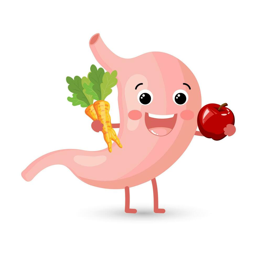 Healthy cheerful human stomach character with vegetables and fruits. Healthy diet. Anatomy of the digestive system. Vector in flat style
