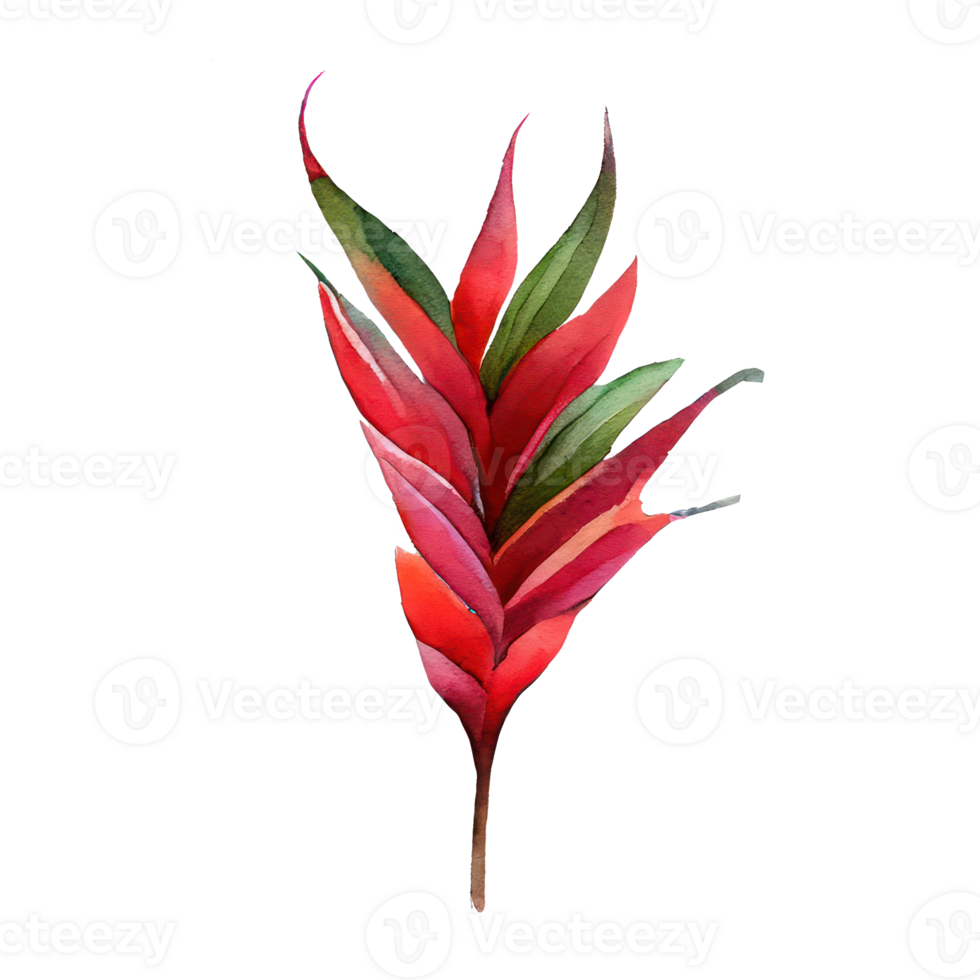 Tropical leaves in watercolor . png