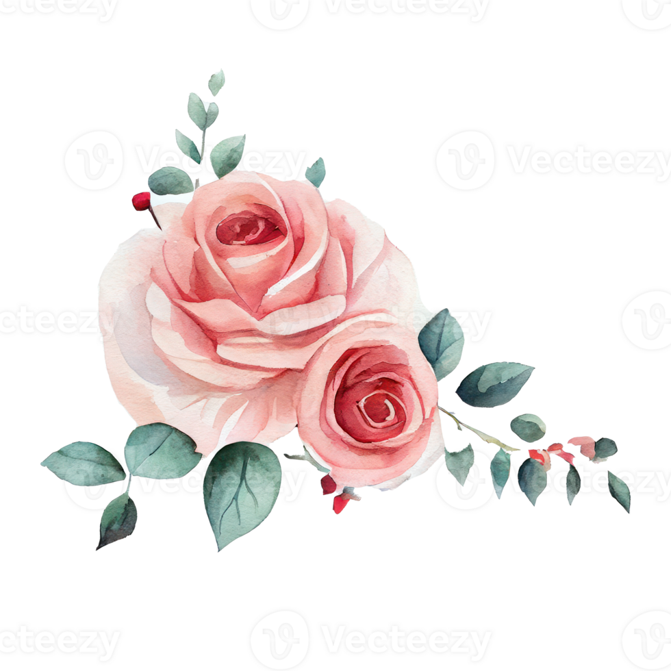 Roses watercolor . png