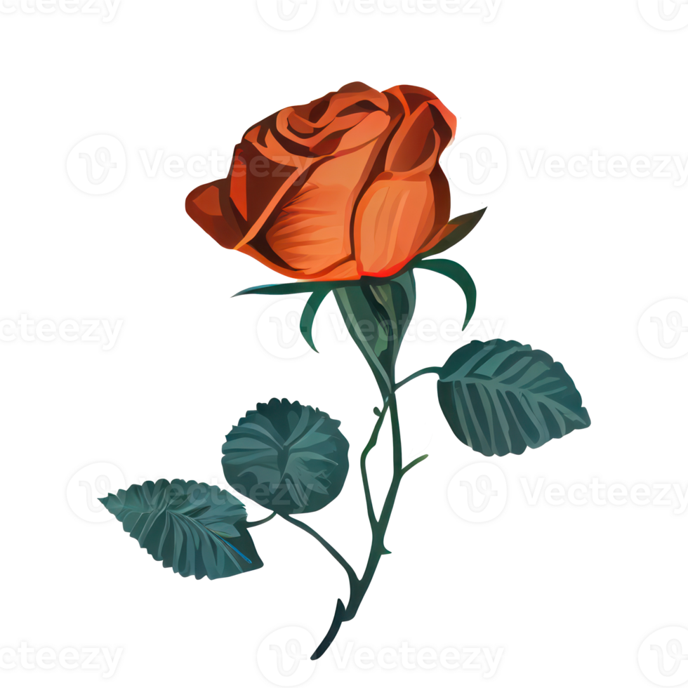 Roses watercolor . . png