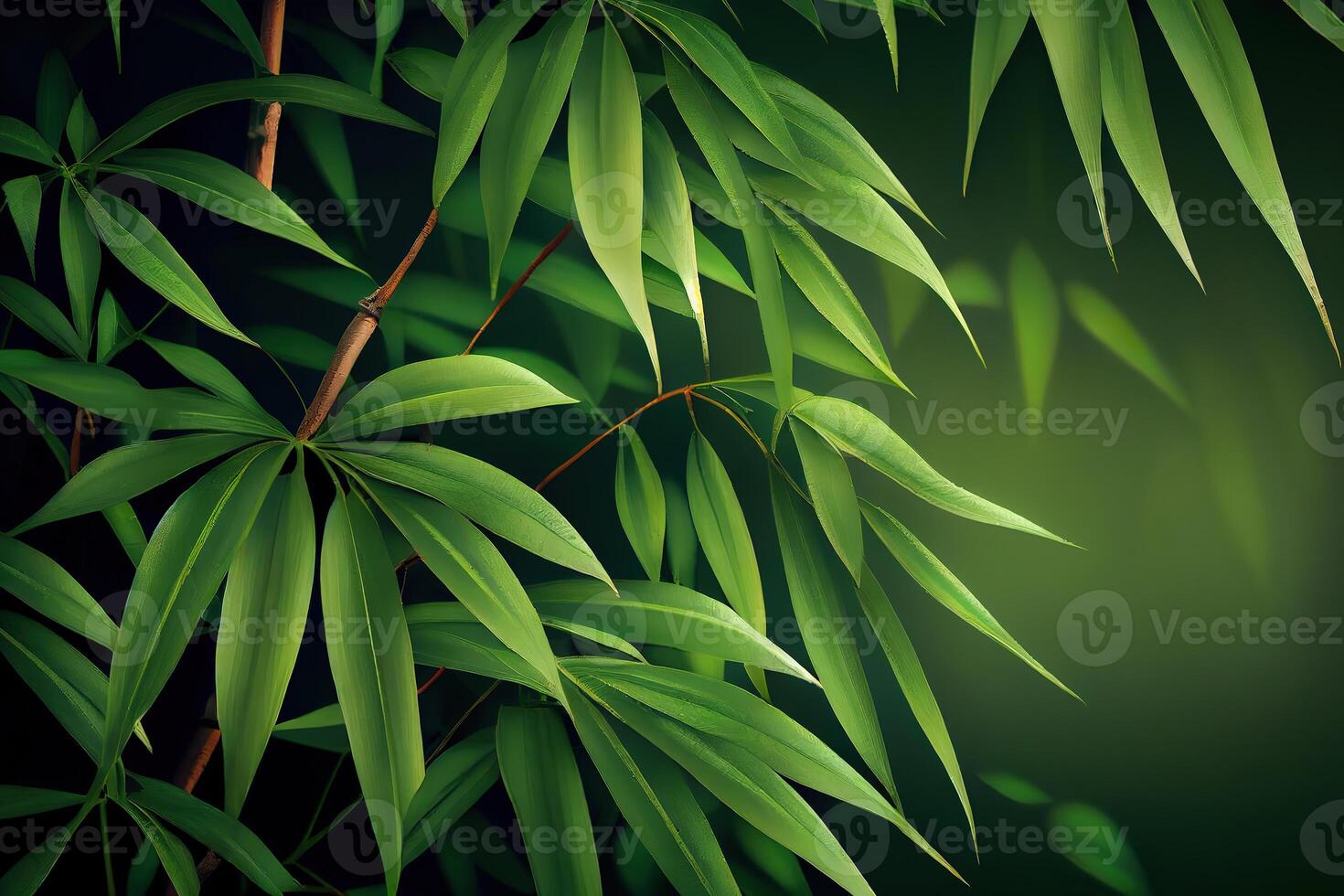 Green bamboo background fresh leaves on tree as nature ecology and environment concept. photo
