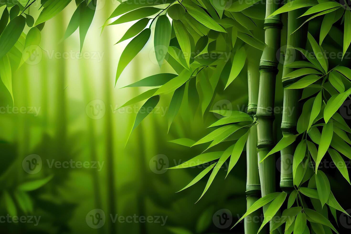 Green bamboo background fresh leaves on tree as nature ecology and environment concept. photo