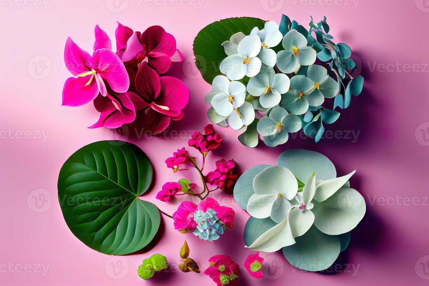 Flat lay pink orchids and hydrangea, bright nice color. photo