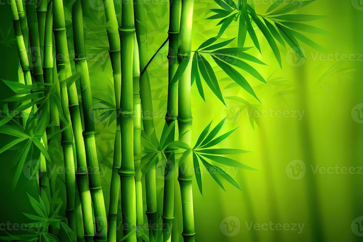green bamboo grass close up. photo