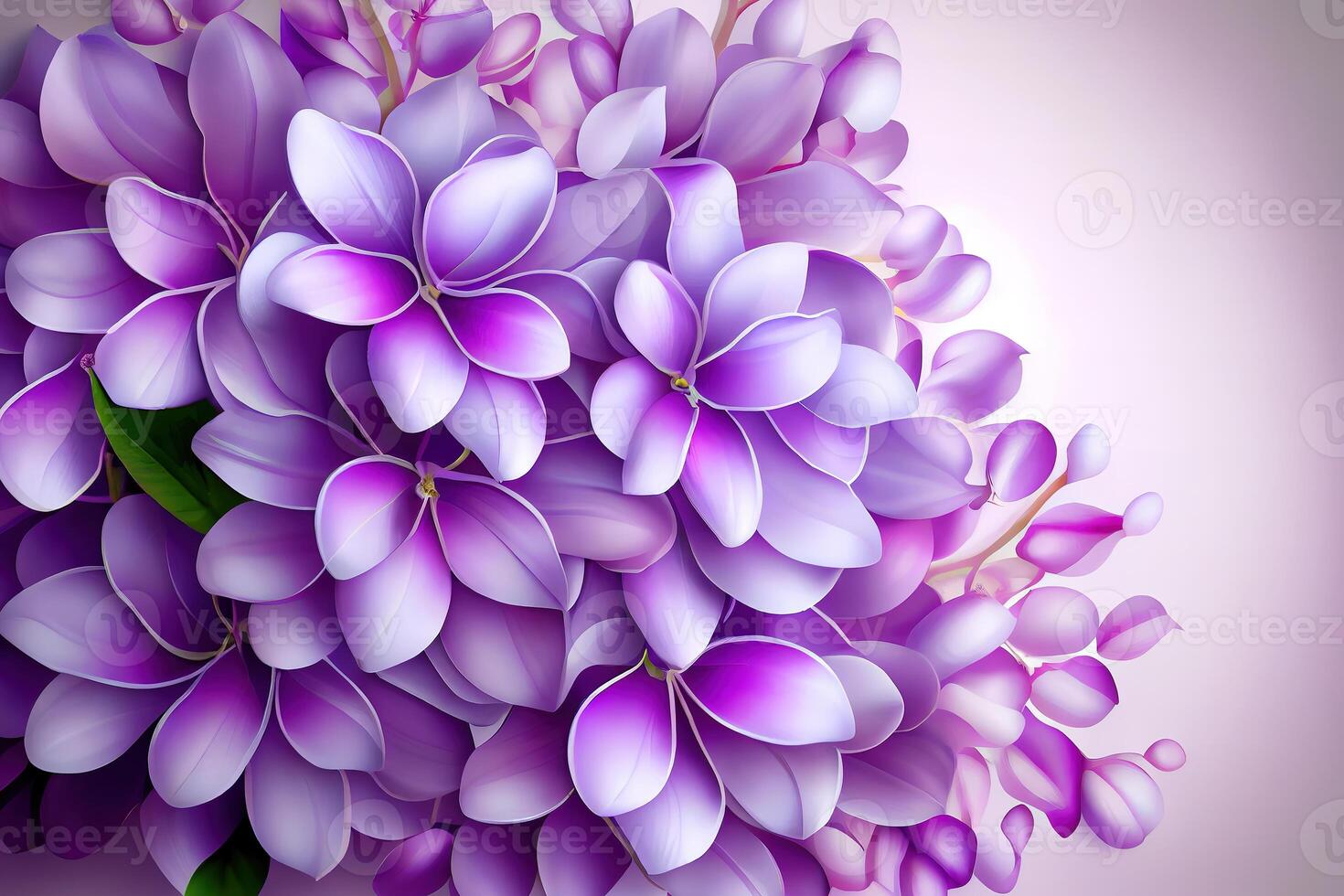 Purple lilac flowers blossom in garden, spring background. photo