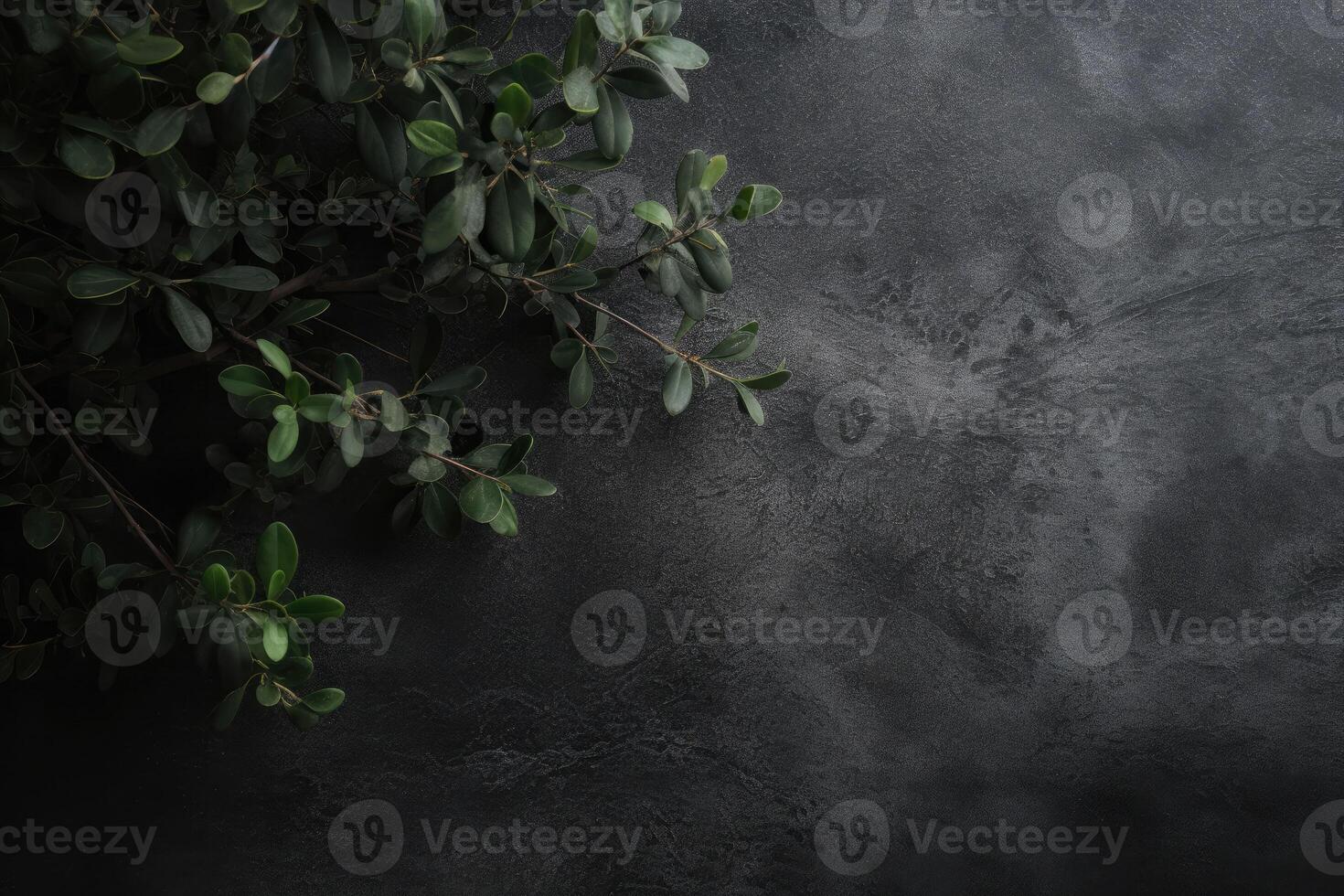 Concrete black texture wall and the branch. Background with distressed grunge texture. photo