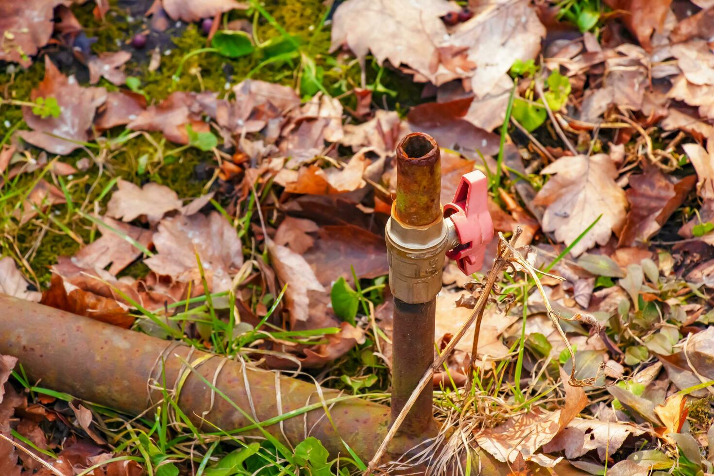Faucet on the pipe for water supply. Pipeline on the ground to supply irrigation water. Autumn. Yellow fallen leaves on the pipe. photo
