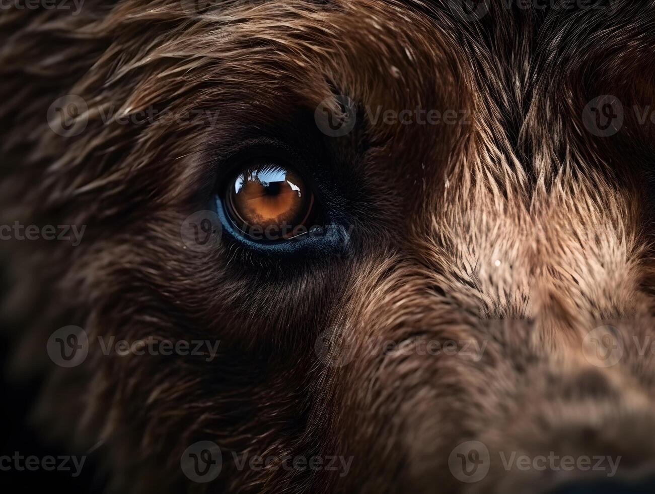 Grizzly Bear eyes, super macro, white bright eyes, Wallpaper, 23236922