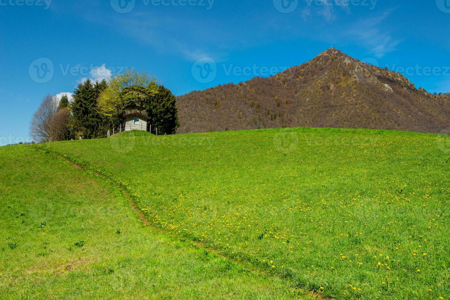 colina en primavera con nieve tapado montañas foto