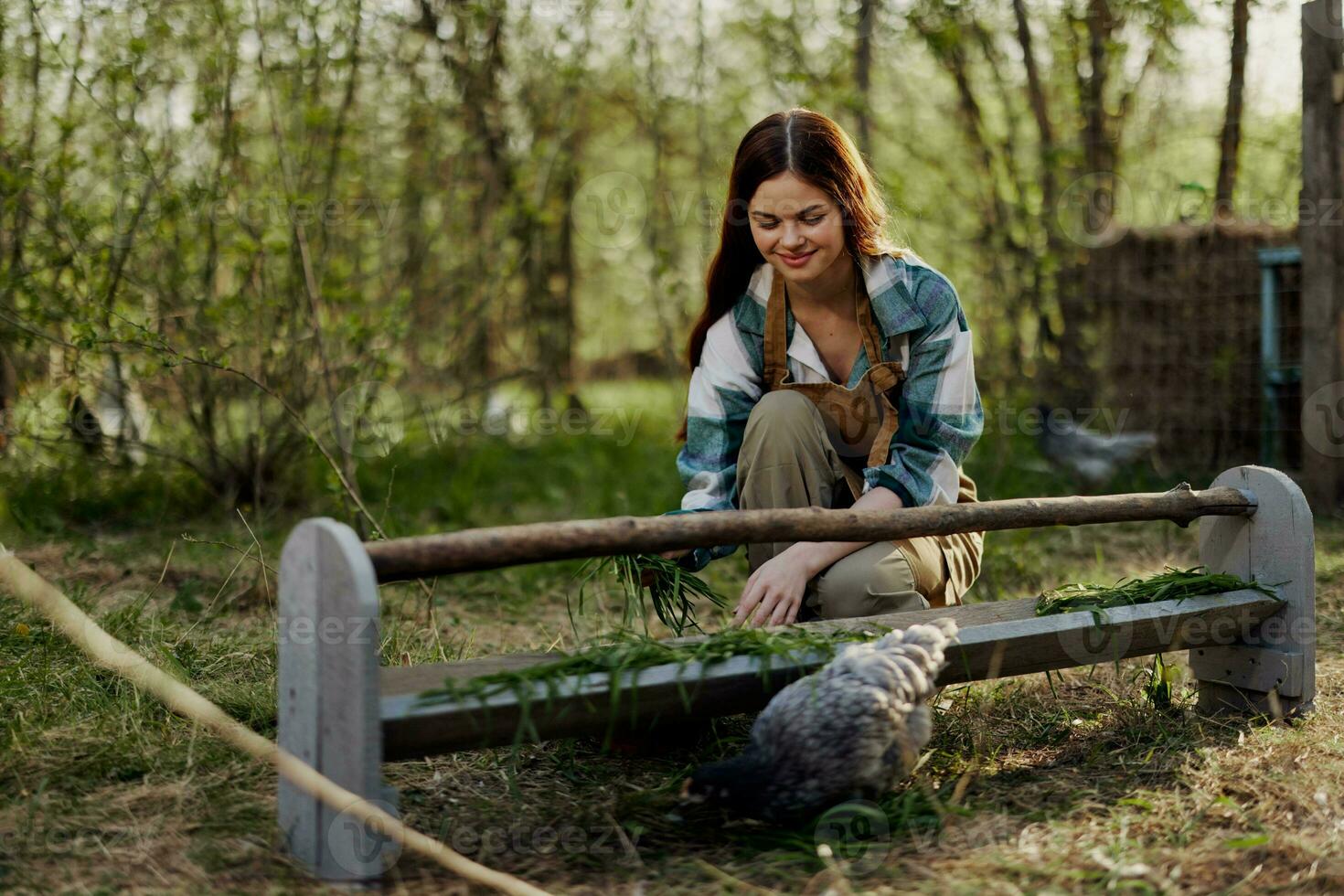 A female bird farm worker smiles and is happy pouring food into the chicken feeder in the fresh air sitting on the green grass photo