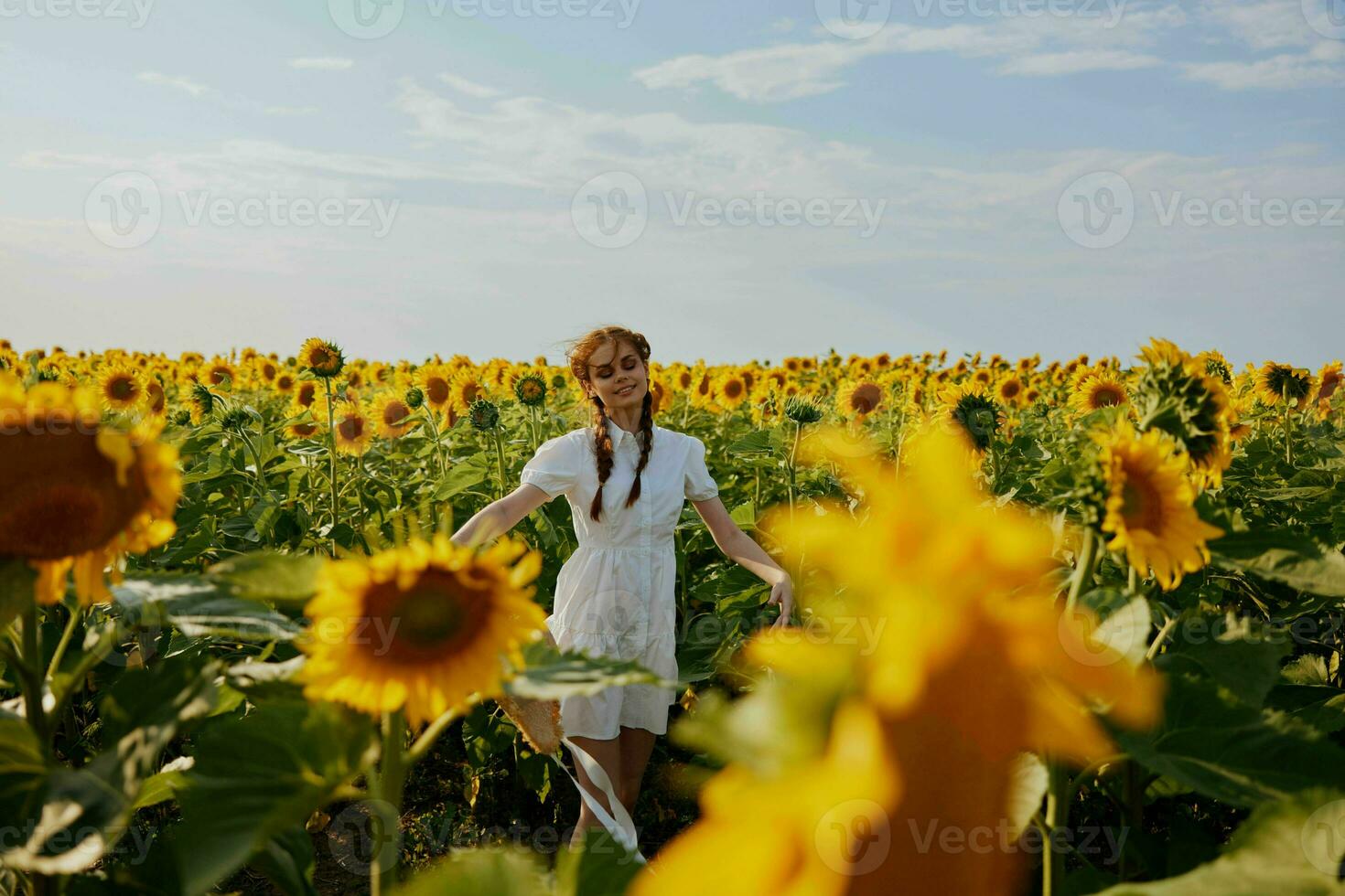 woman with pigtails In a field with blooming sunflowers flowering plants photo