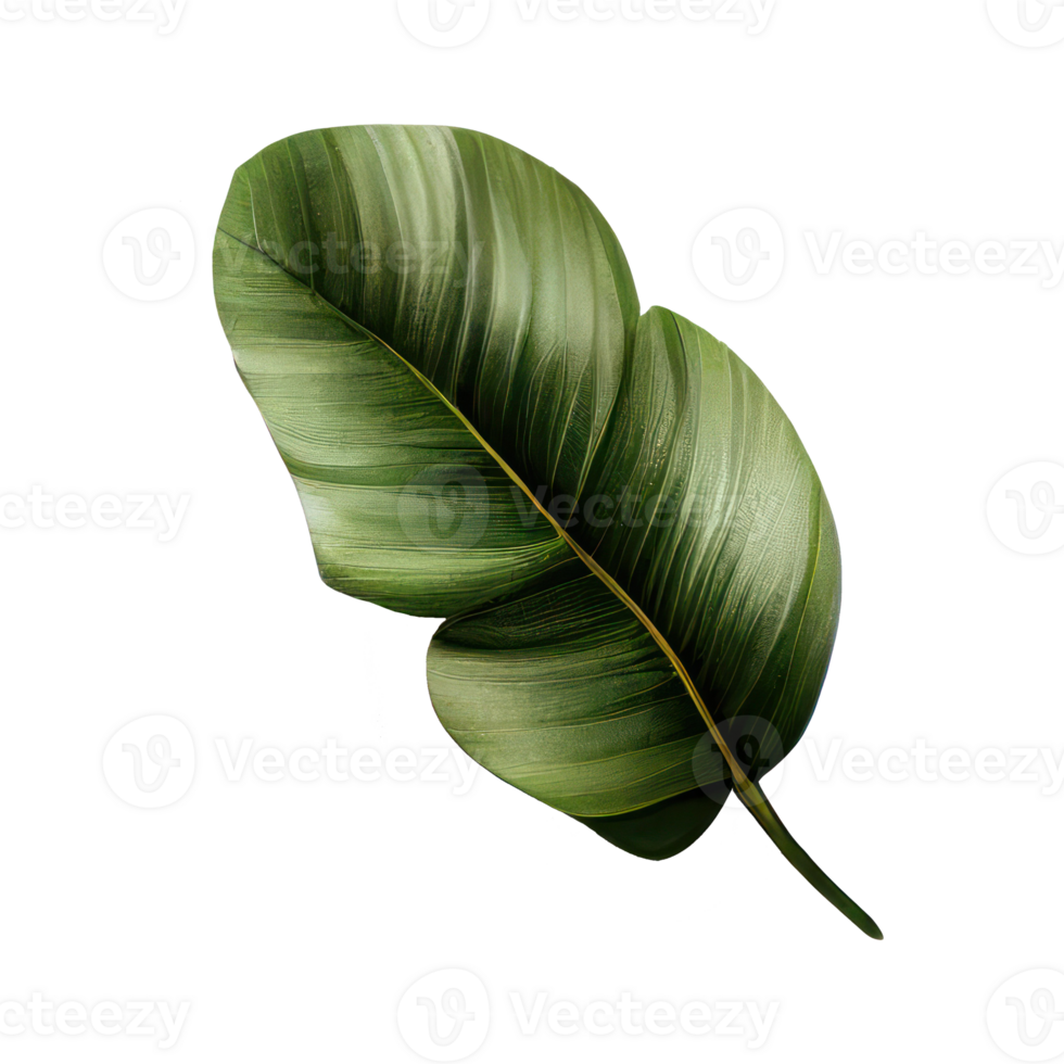 Tropical leaves in watercolor . png