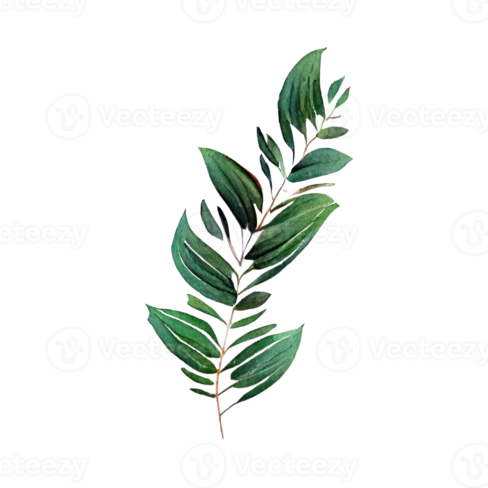 Tropical leaves in watercolor . png
