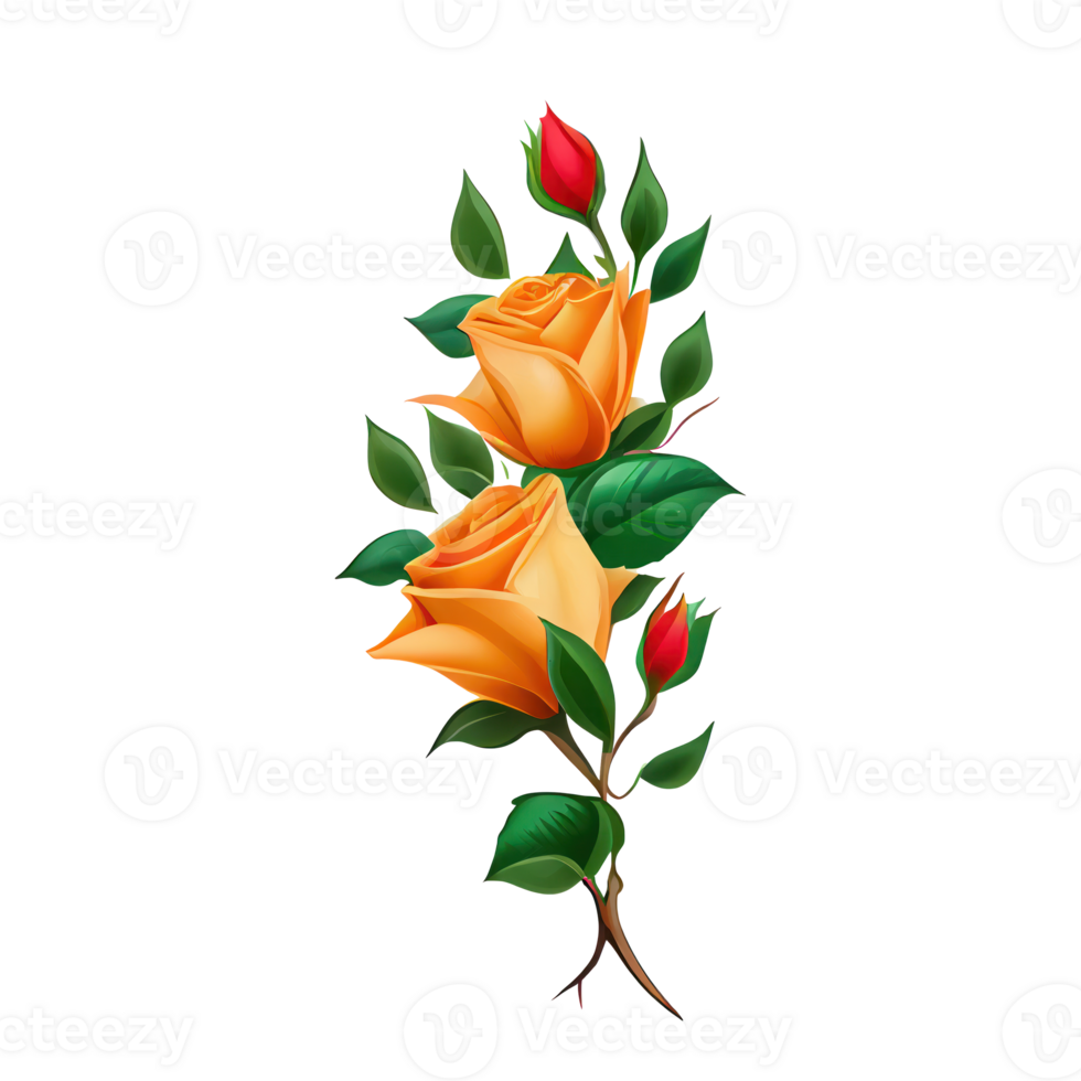 Roses watercolor . png
