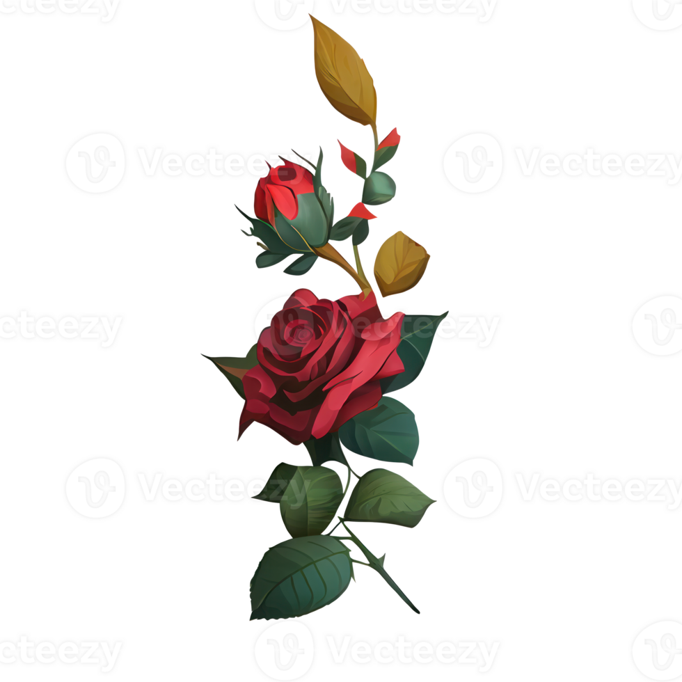 Roses watercolor . . png