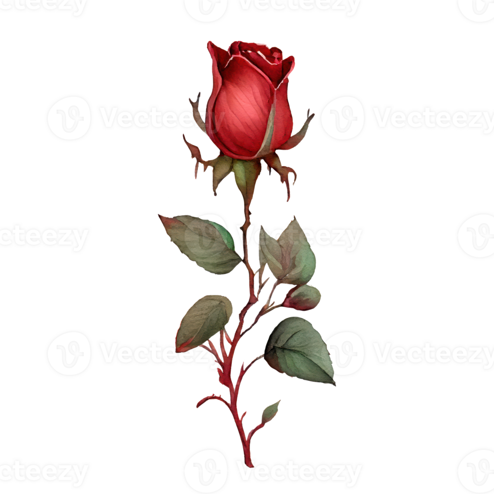 Rose acquerello . ai generato png