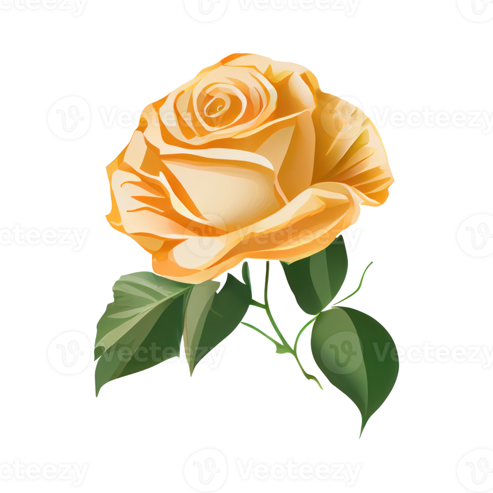 Roses watercolor . . png