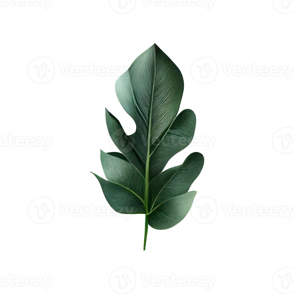 Tropical leaves in watercolor . png