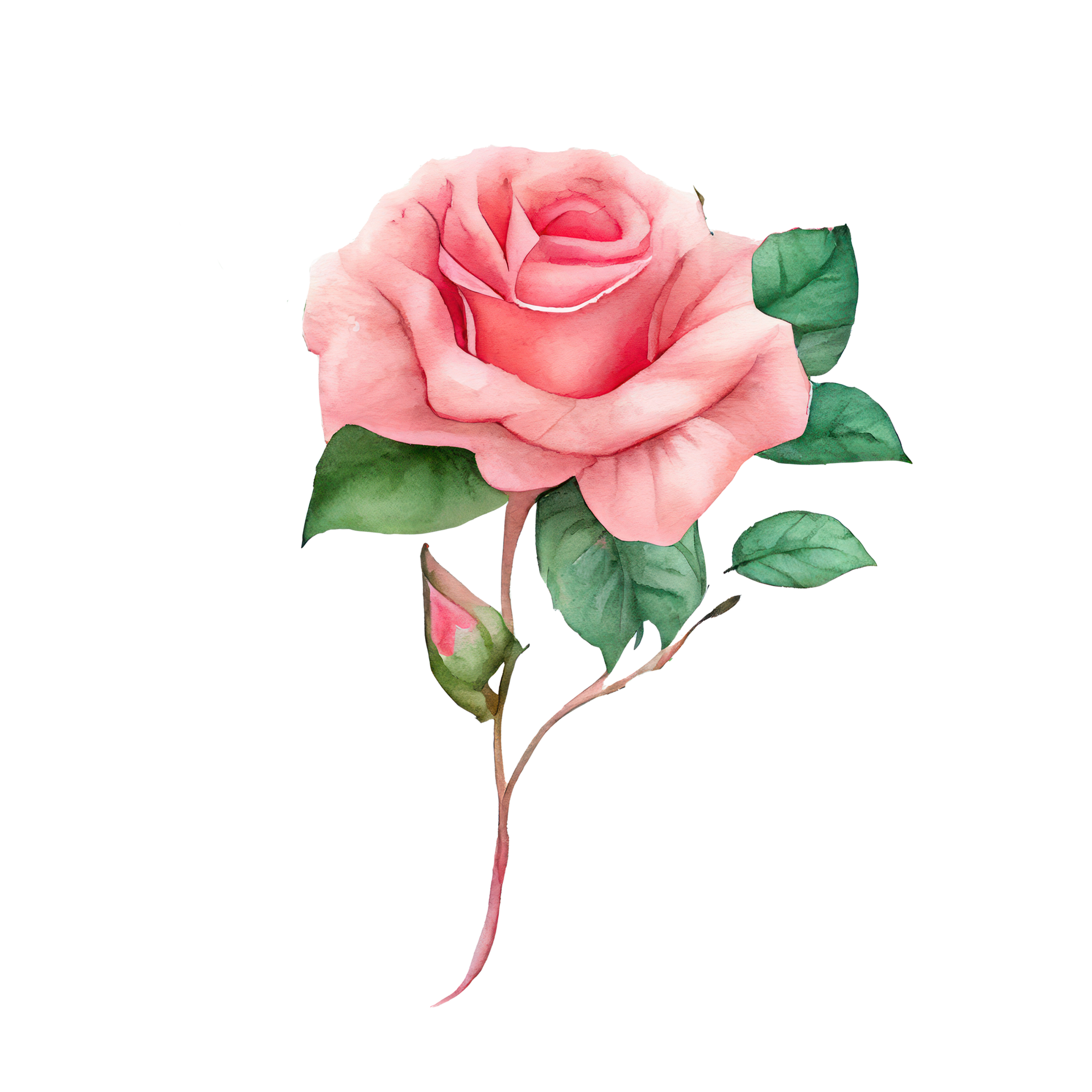 Roses watercolor . AI generated 23241420 PNG