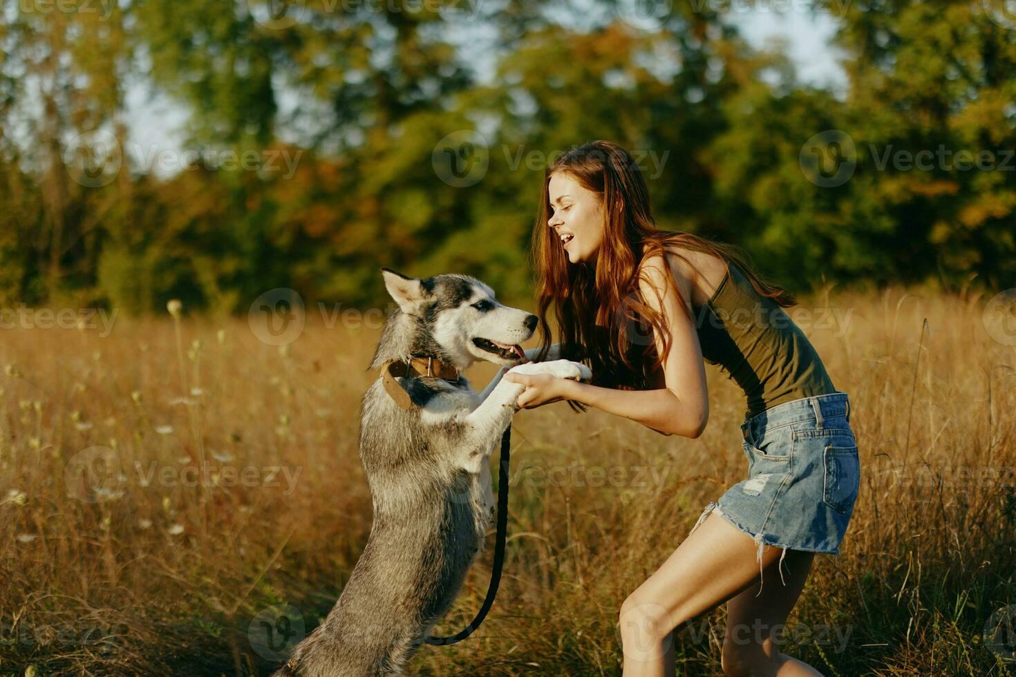 A slender woman plays and dances with a husky breed dog in nature in autumn on a field of grass and smiles at a good evening in the setting sun photo