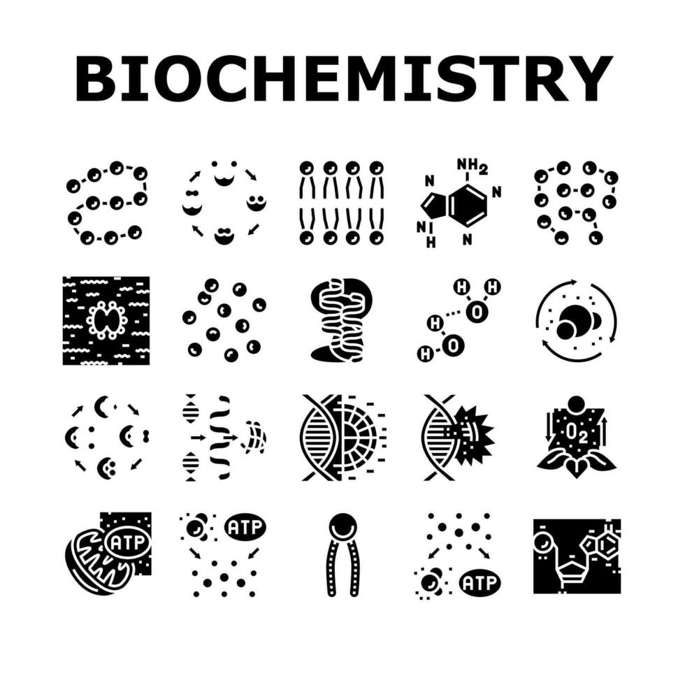 biotecnología química Ciencias íconos conjunto vector