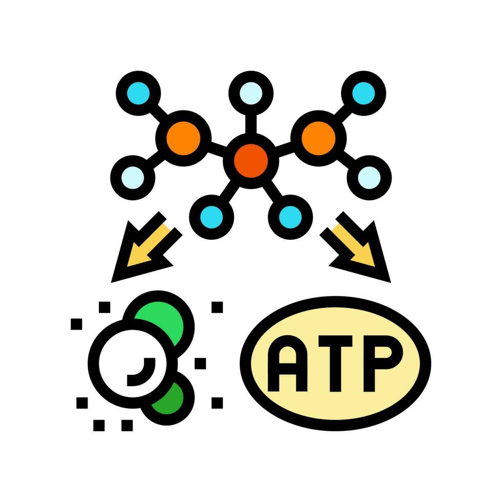 catabolism biochemistry color icon vector illustration