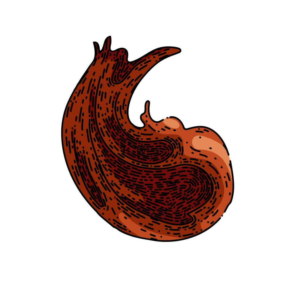 chocolate paste spread sketch hand drawn vector