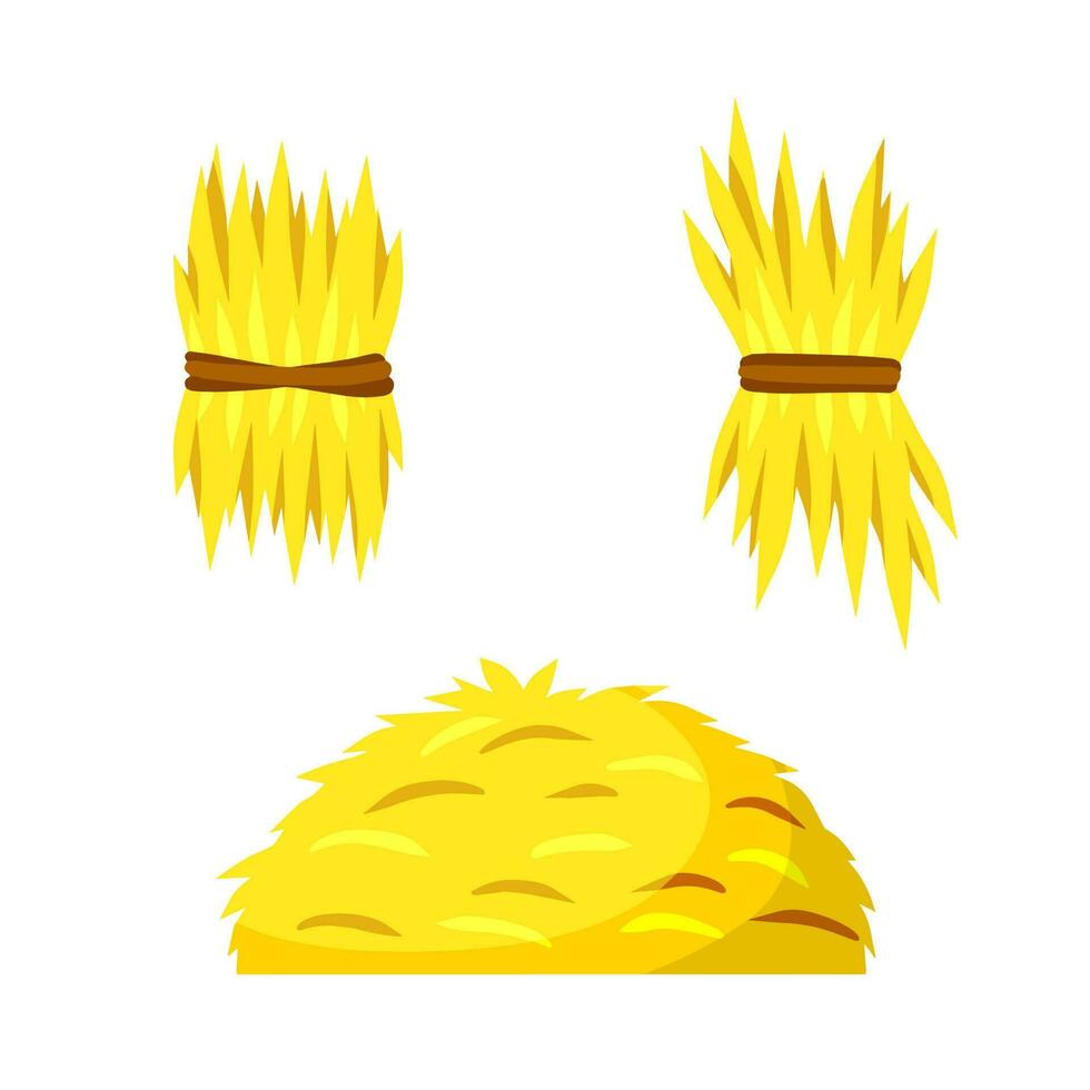 Sheaf of hay. Village harvest. Yellow dried plants. Production of natural food on farm. Set of Stack of wheat ears vector