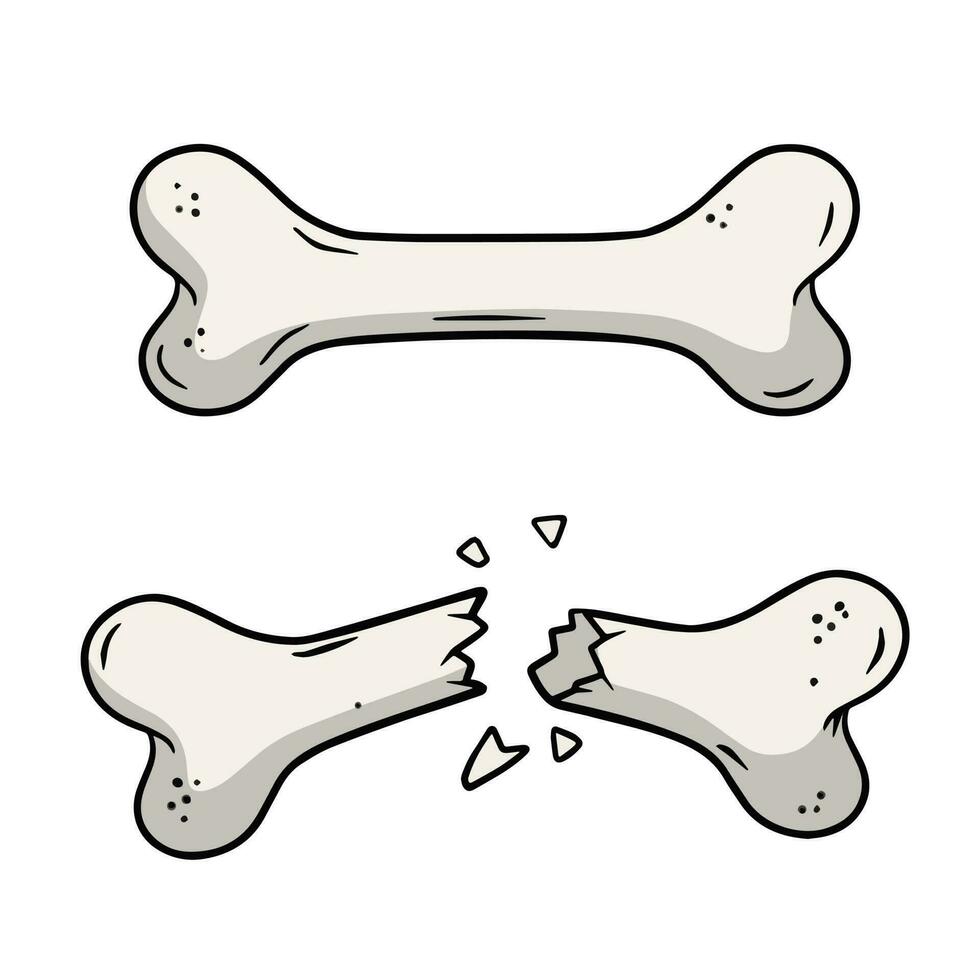 hueso fractura. trauma a el cuerpo. grieta y astillas peligroso situación y herida. dibujos animados plano ilustración y perro juguete aislado en blanco antecedentes vector