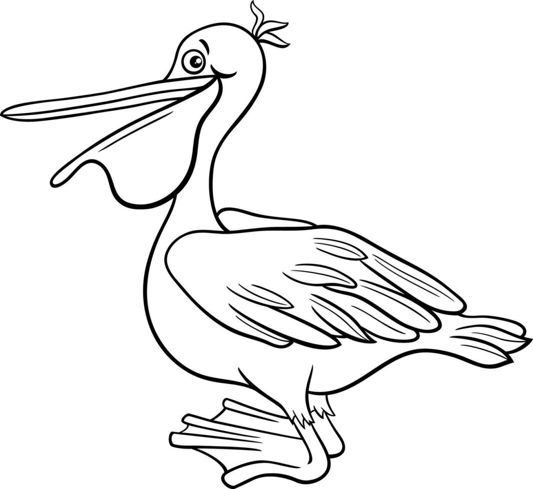 dibujos animados pelícano pájaro animal personaje colorante página vector