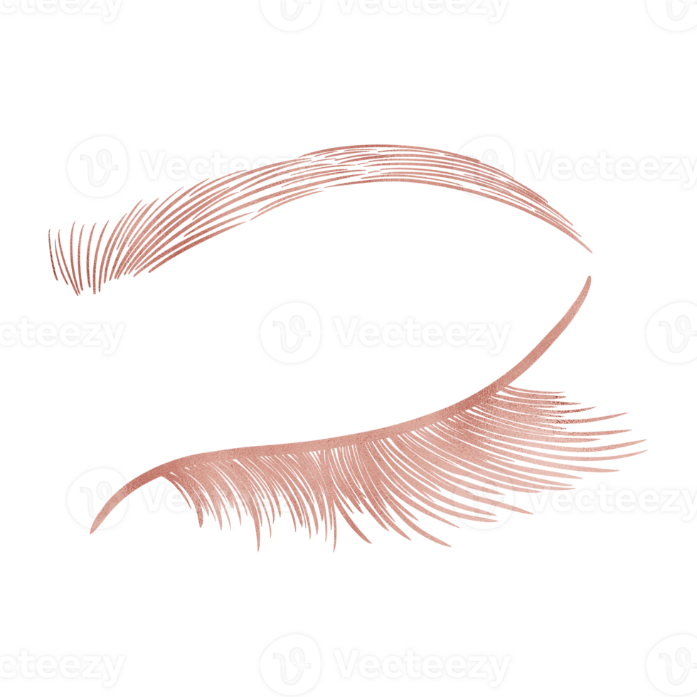 Pink Elegant Eye Lash Brow png