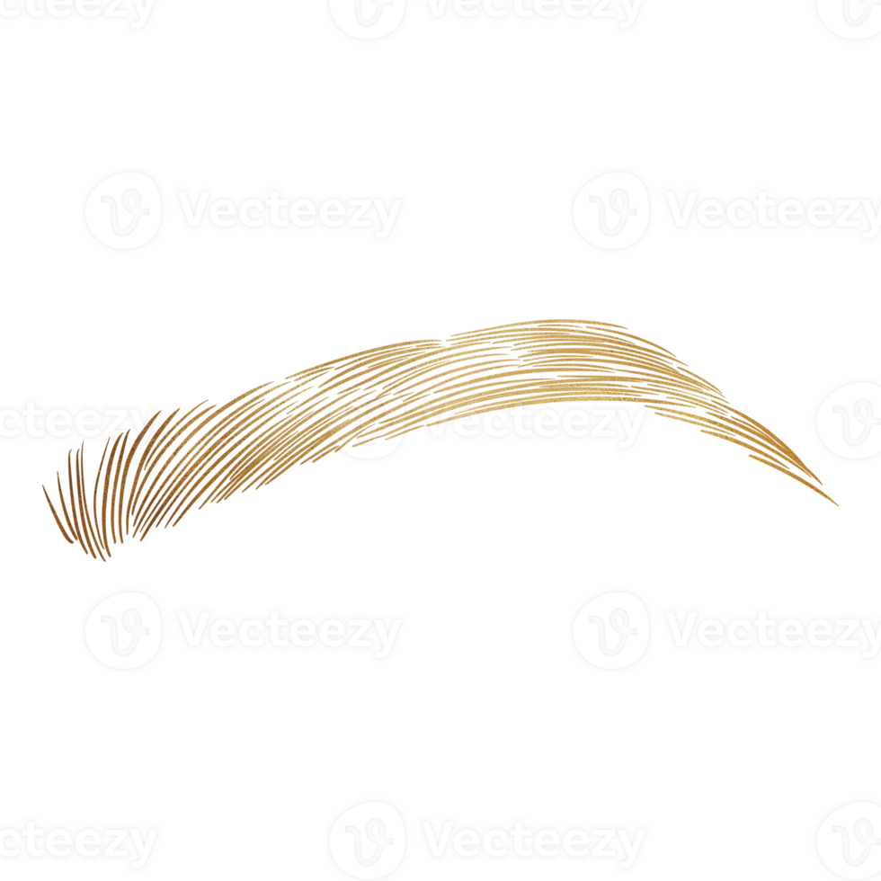 Gold Elegant Brow png