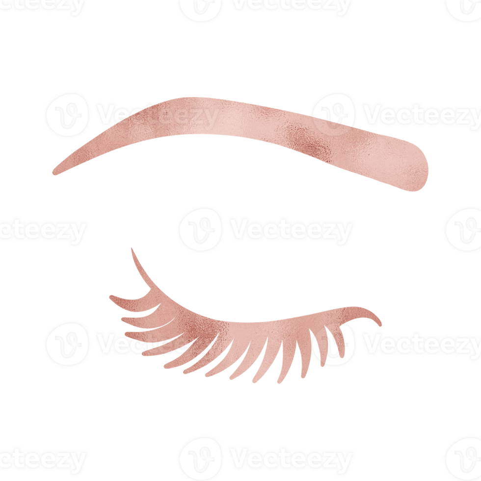 Pink Elegant Eye Lash Brow png
