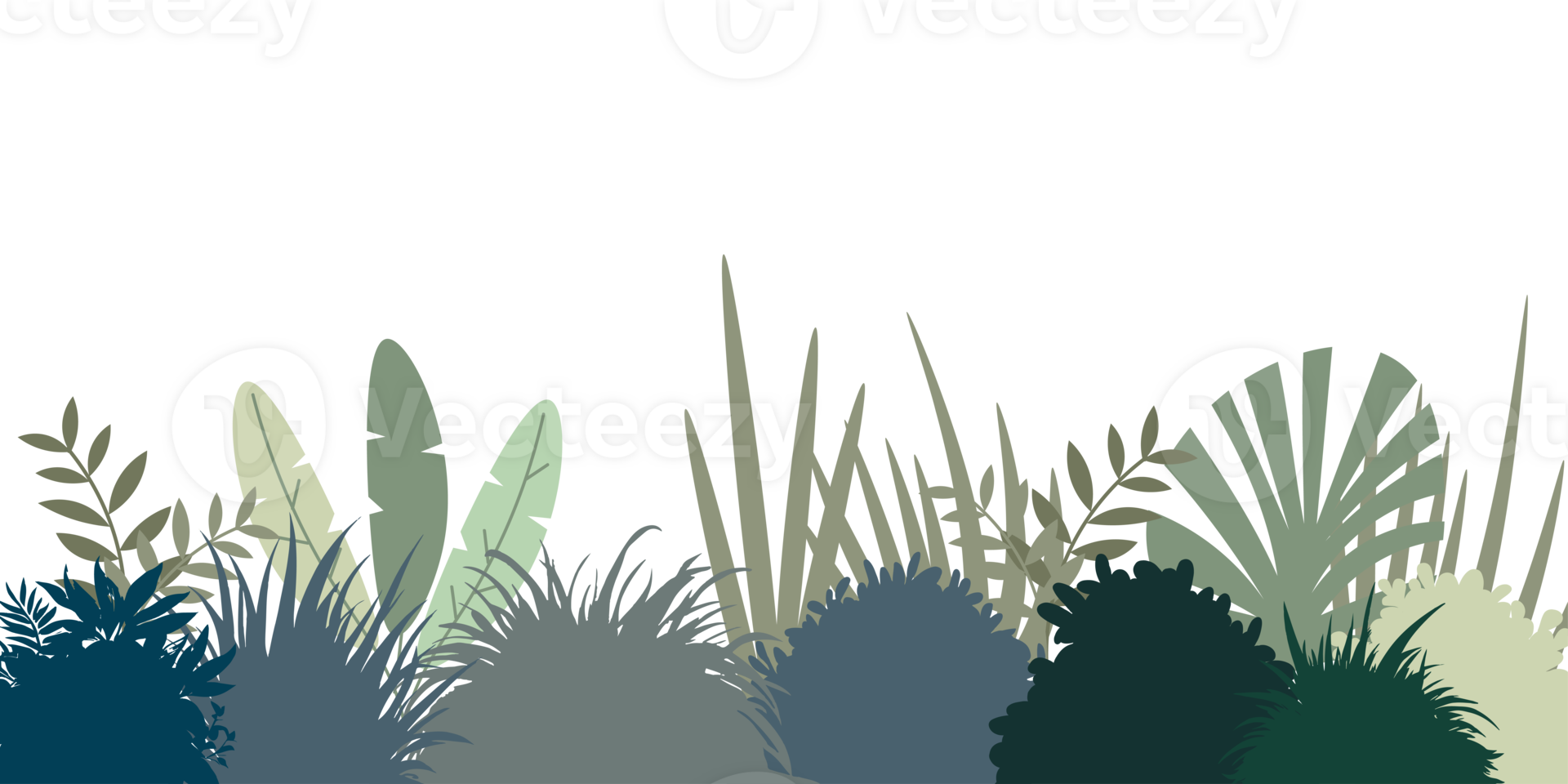 Tropical bush. Tropical leaf isolated on transparent background. png