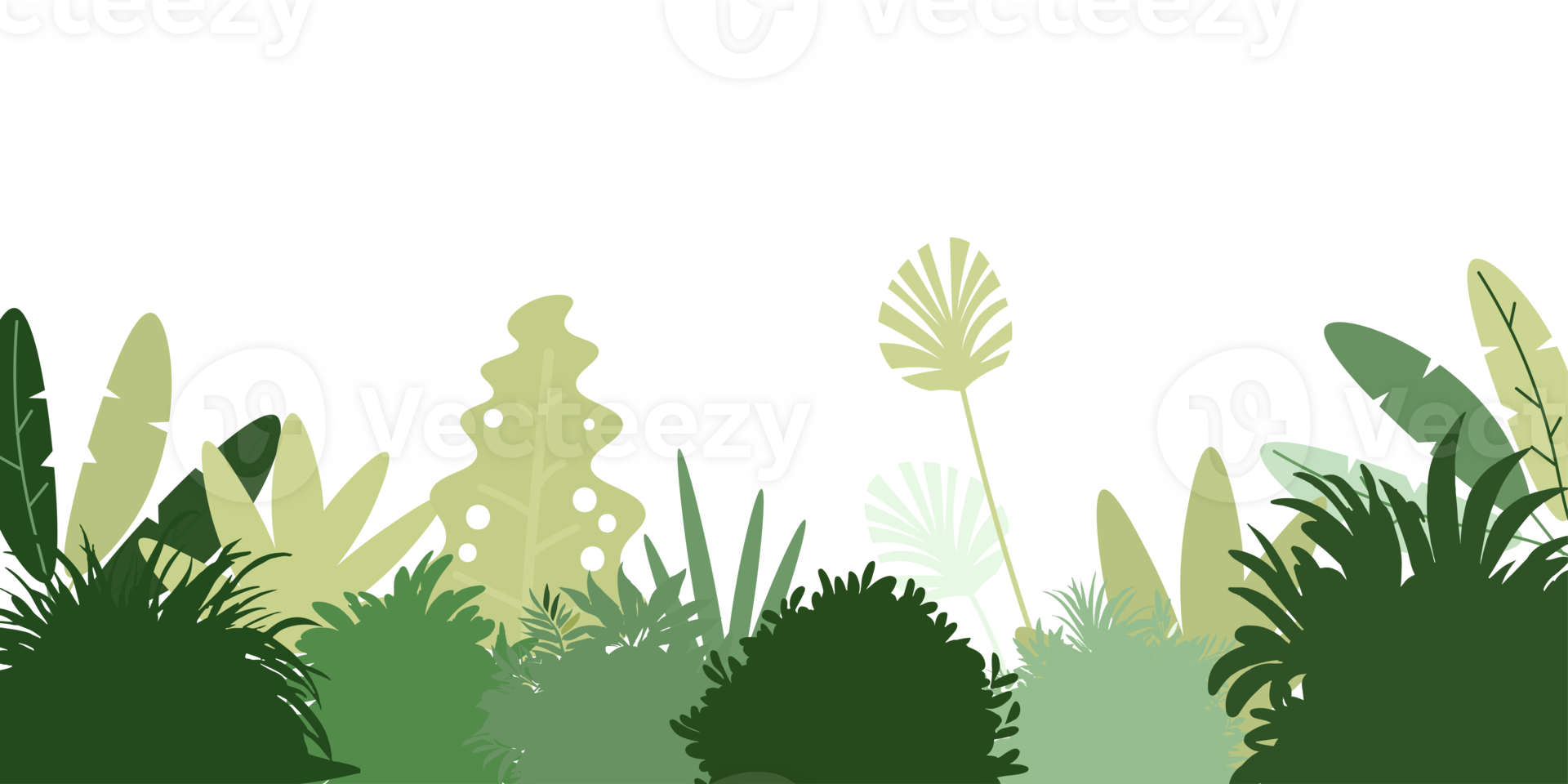 Tropical bush. Tropical leaf isolated on transparent background. png
