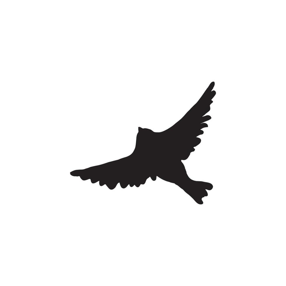 Birds Fly , Sky Vector