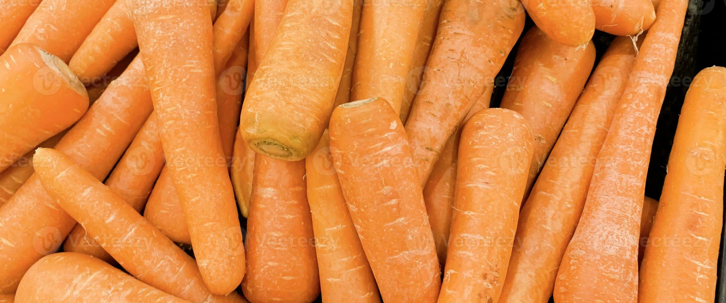 Fresh produce of carrots spring food vegetable. Fresh big orange carrot