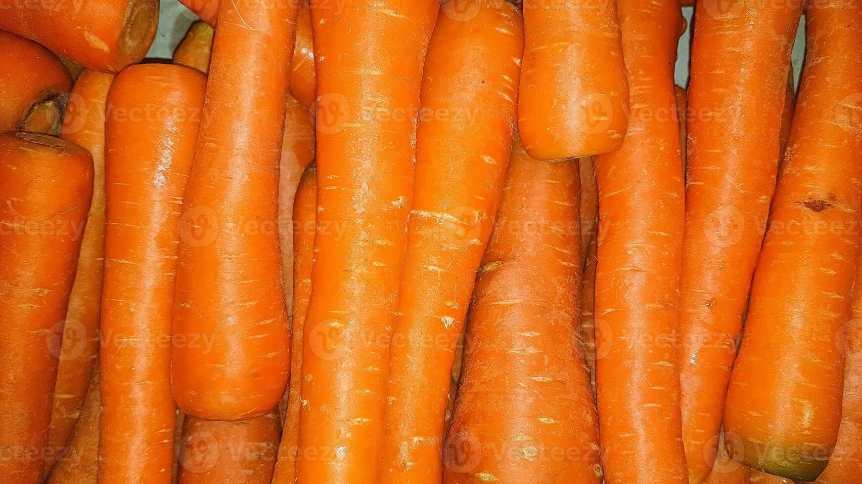 Fresh produce of carrots spring food vegetable. Fresh big orange carrot texture background photo