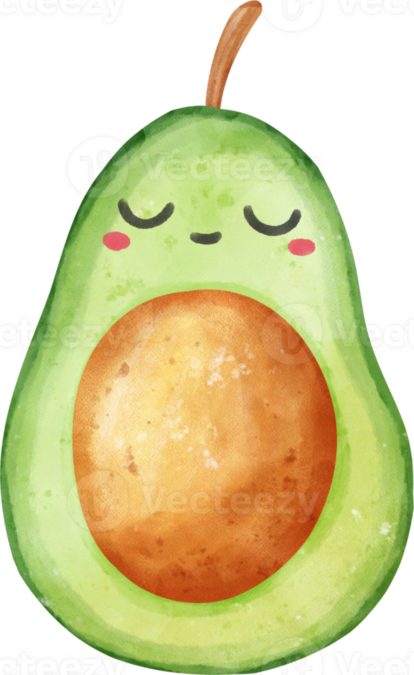 cute kawaii Watercolor fresh half opened avocado vegetable vibrant color hand drawing png