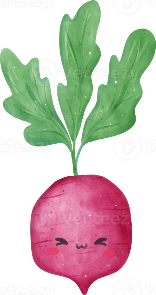 cute kawaii Watercolor fresh red radish vegetable vibrant color hand drawing png