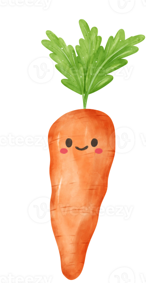 cute kawaii Watercolor fresh carrot vegetable vibrant color hand drawing png